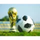 Why the World Cup Was the End for Many Head Coaches