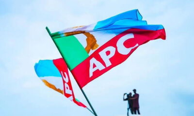 2027: Olisah Metuh, Ize-Iyamu join campaign council as APC releases supplementary list