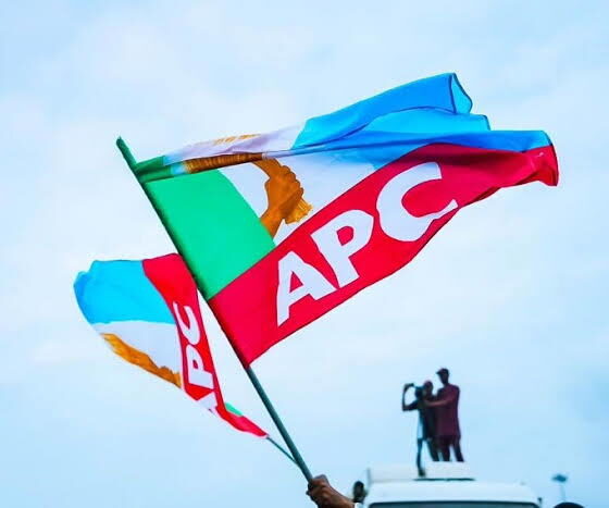 2027: APC campaign council reshuffles youth, women mobilisation teams