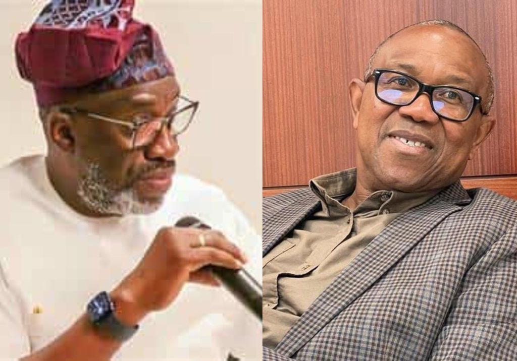 2027: ‘You can’t contest without structure’ – Sowunmi tells Peter Obi