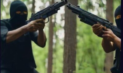 2027: What insecurity may do to APC’s bid